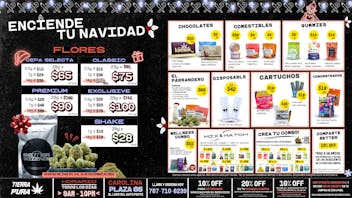 Tierra Pura - Carolina ⭐ ENCIENCDE TU NAVIDAD 🎁