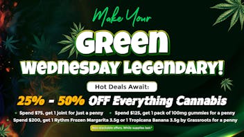 Lemon 22 🤑Green Wednesday Is Live — These Deals Won’t Last