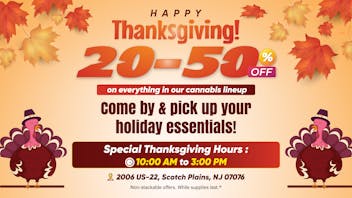 Lemon 22 🦃 Thanksgiving Deals – Save 20–50% NOW 🌿