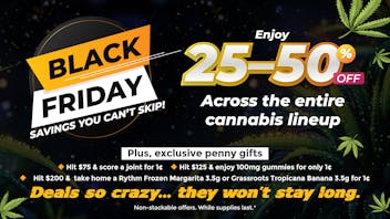 Lemon 22 🤑 Crazy Black Friday Deals (25–50% OFF) Grab Now!