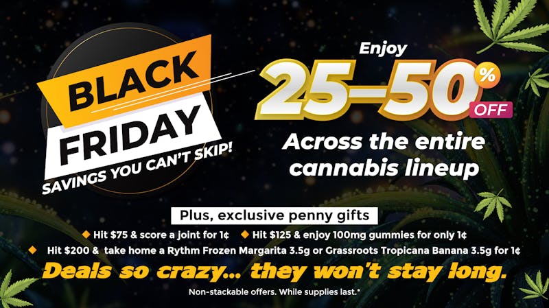 Lemon 22 🤑 Crazy Black Friday Deals (25–50% OFF) Grab Now!