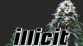 From The Earth Dispensary Independence Mix & Match Any 2 Illicit 1/8ths for $60