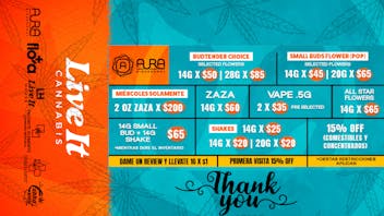 Aura 🦃✨ Gracias & Grasa 🍂💨