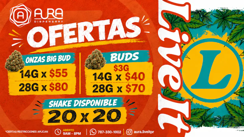 Aura Big Buds 14g x $40