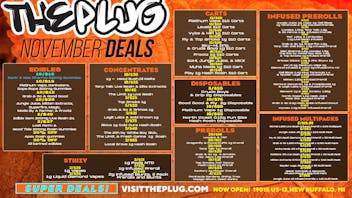 The Plug New Buffalo - NOW OPEN ⚡ STAY PLUGGED IN — NOVEMBER SAVINGS BLOWOUT ⚡