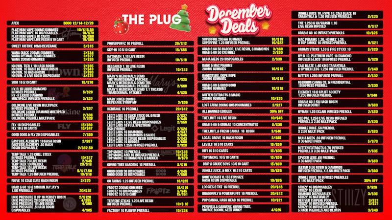 The Plug New Buffalo - NOW OPEN The Plug’s December Deals Are Here! 🎄✨