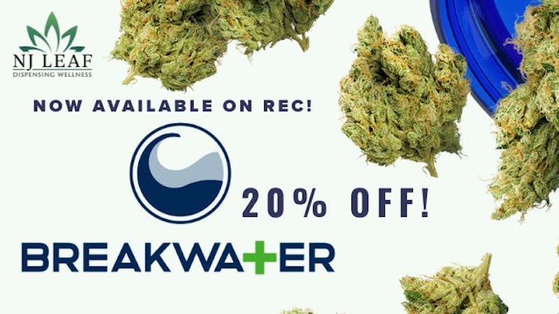 NJ Leaf Breakwater 20% off