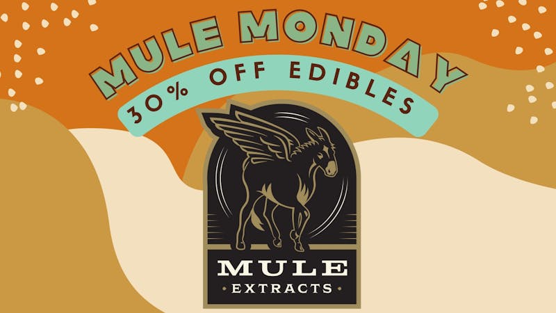 Shipwreck'd Mule Monday!!!!