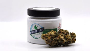 The High Bar Weed of the Week - 30% Off (limit one)