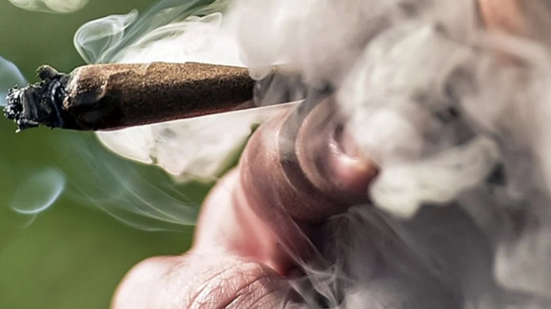 Greenhouse GREENHOUSE FIRST TIME IN 10% OFF, VETRANS 20% OFF