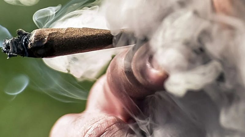 Greenhouse GREENHOUSE FIRST TIME IN 10% OFF, VETRANS 20% OFF