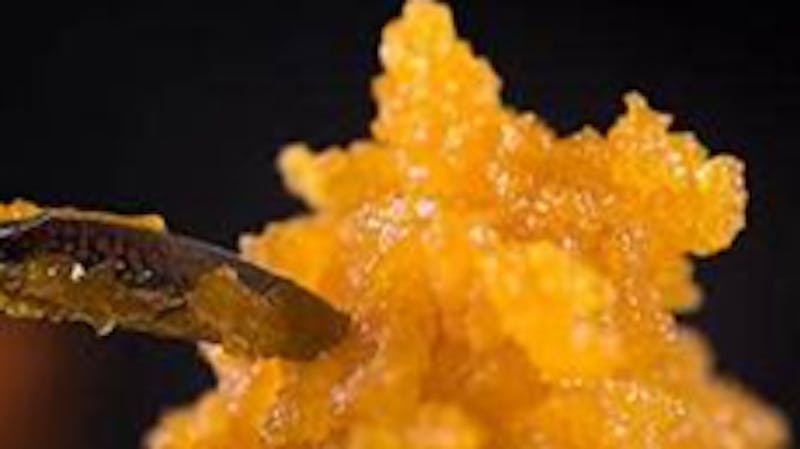 Greenhouse Living Live 25 ! Great Deals all of Thanksgiving!