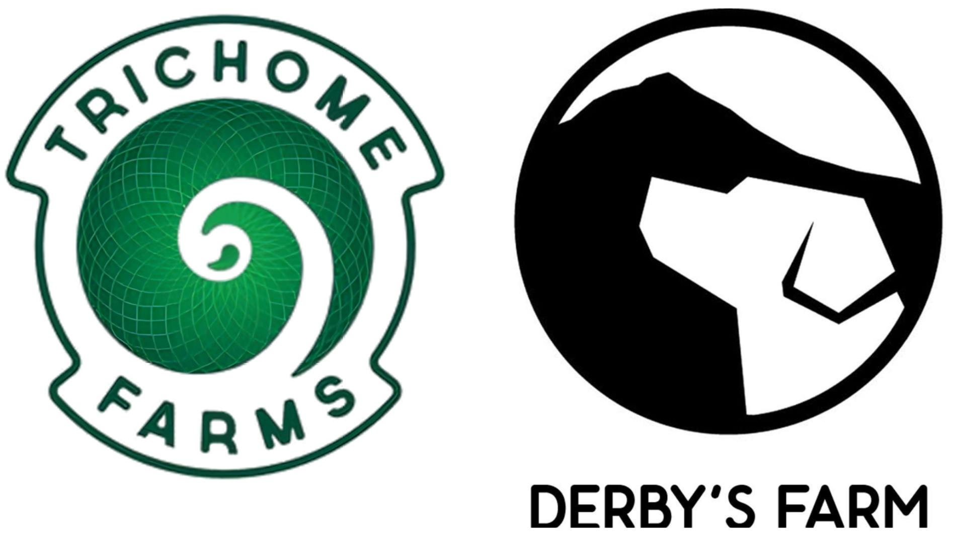 Kingston Cannabis Co 30% OFF TRICHOME FARMS/ 20% OFF DERBY