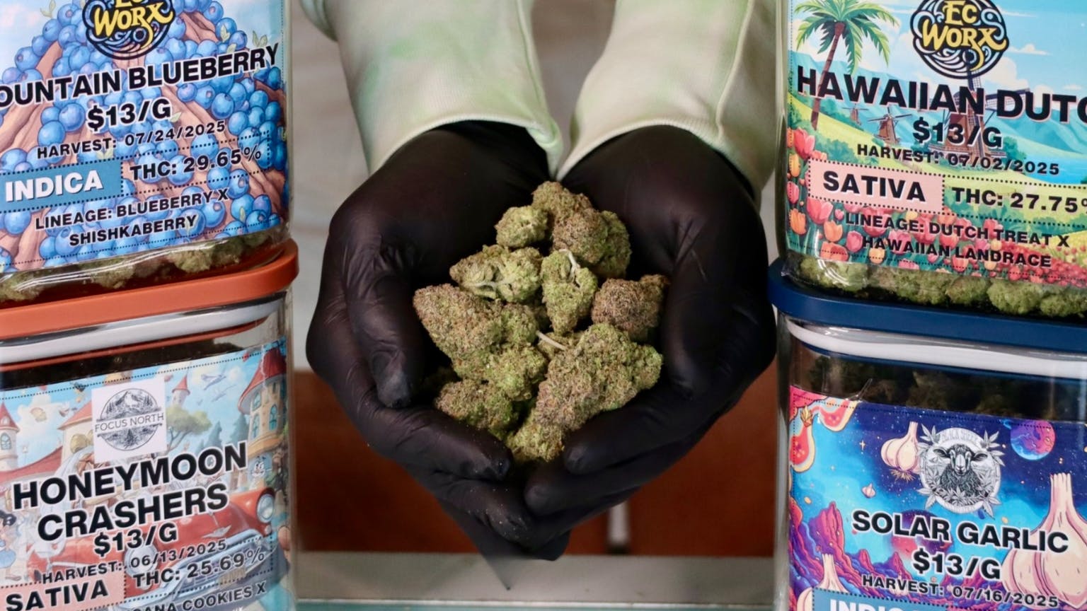 Kingston Cannabis Co 2 OUNCES FOR $50!