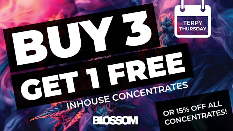 Blossom Cannabis - Saco 💎 Terpy Thursday