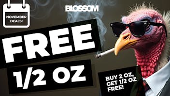 Blossom Cannabis - South Portland 🌸 Buy 2 Oz, Get a FREE Half!
