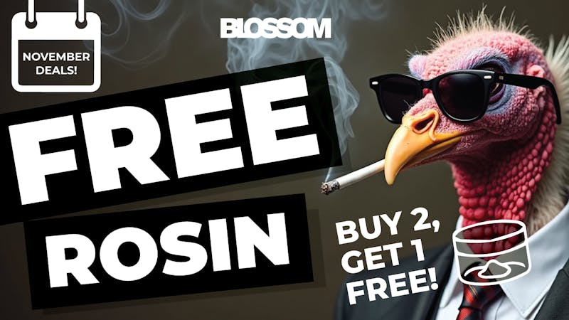 Blossom Cannabis - South Portland 💎 B2G1 – Marmalade Melts Rosin