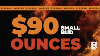 Blossom Cannabis - Biddeford 🌿 $50 Half | $90 Oz – Small Buds