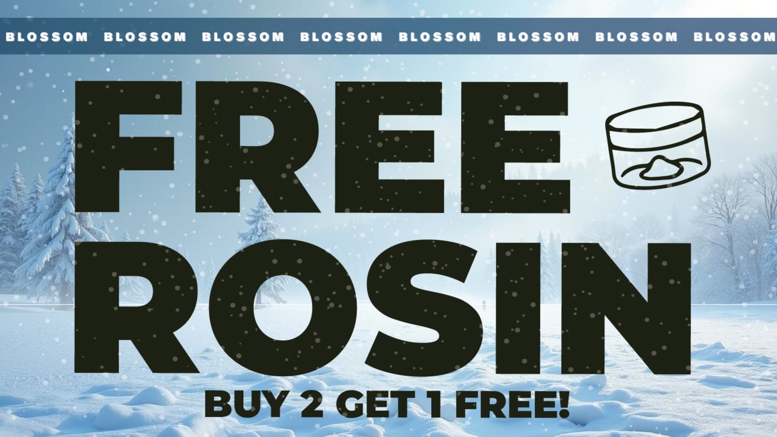 Blossom Cannabis - South Portland 💎 B2G1 – Marmalade Melts Rosin