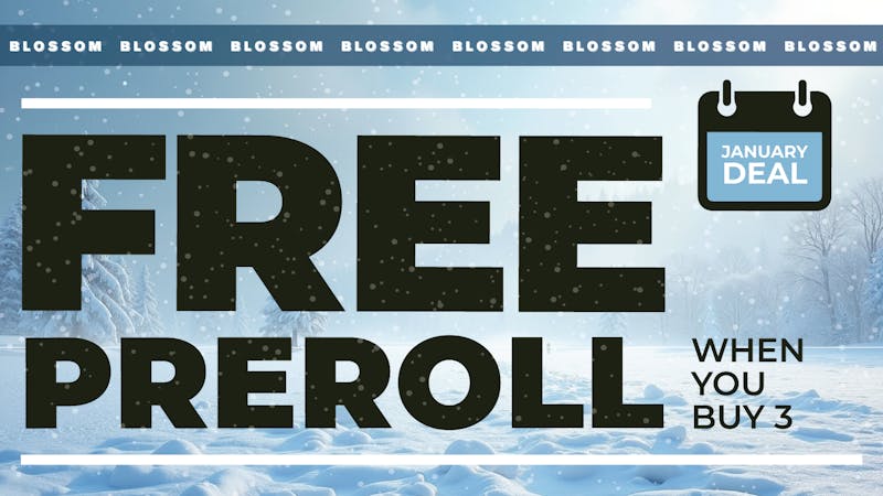 Blossom Cannabis - South Portland Buy 3 Get 1 FREE Pre-Rolls