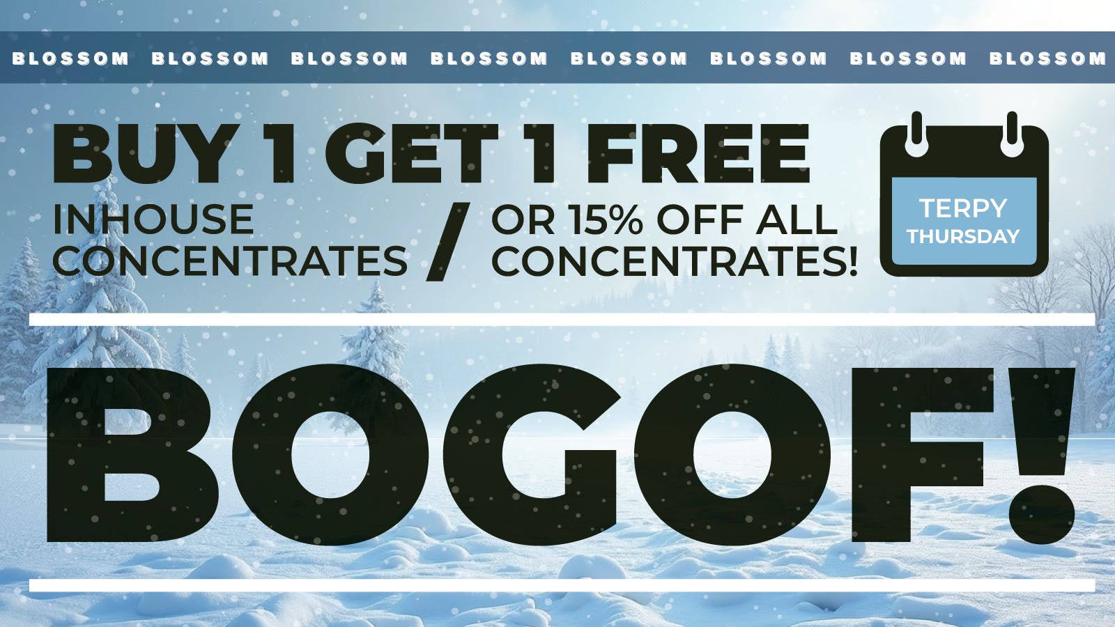 Blossom Cannabis - South Portland 💎 Terpy Thursday