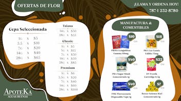 ApoteKa - Aguas Buenas Ofertas de Flor y Manufactura 💰✨