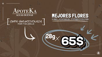 ApoteKa - Aguas Buenas ✅ OFERTA DE FLORES 🫨