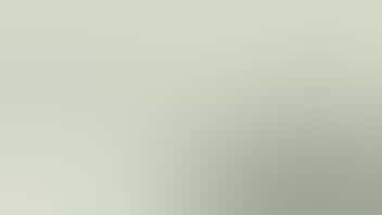 Zen Leaf Towson $5 off Savvy Strut