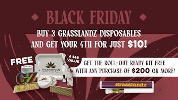 Island Peži Black Friday Deal - Free with any $200 purchase!