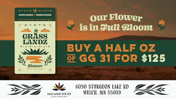 Island Peži Buy a 1/2 OZ of GG31 for ONLY $125!