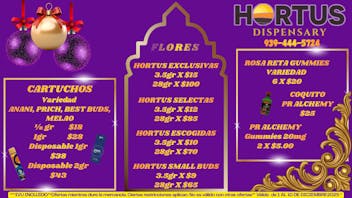 Hortus 🎄🎁LLEGO LA NAVIDAD!🎁🎄