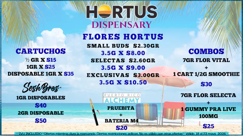 Hortus ⛱️😎LLEGO EL VERANO 😍🌞