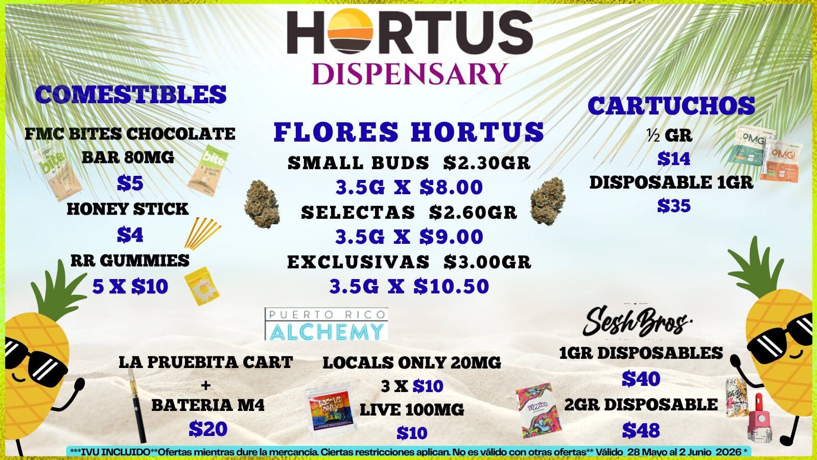 Hortus ⛱️😎LLEGO EL VERANO 😍🌞