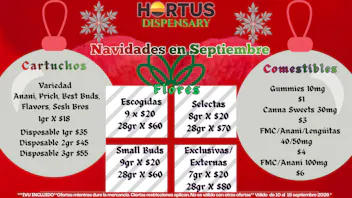 Hortus ❄️NAVIDADES EN SEPTIEMBRE!❄️