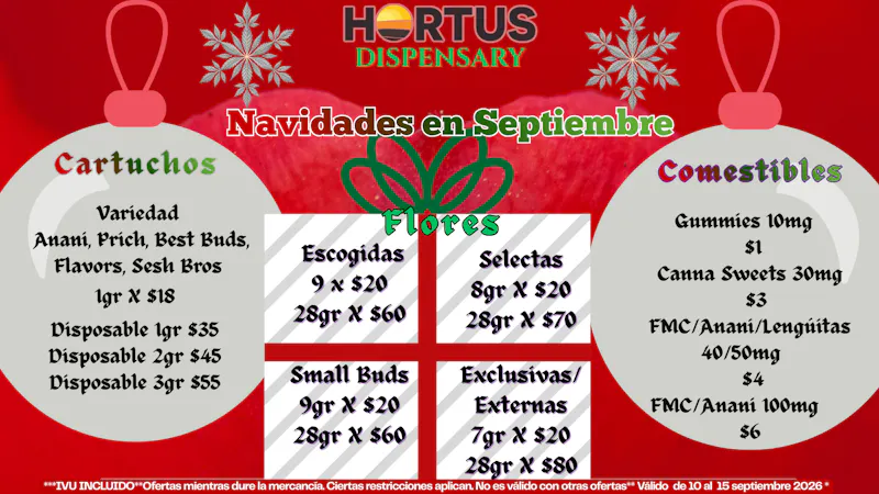 Hortus ❄️NAVIDADES EN SEPTIEMBRE!❄️