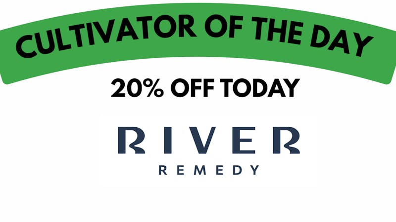 Far & Dotter - Olive Branch River Remedy Monday