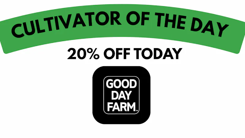 Far & Dotter - Olive Branch MonDaze: 20% Good GDF