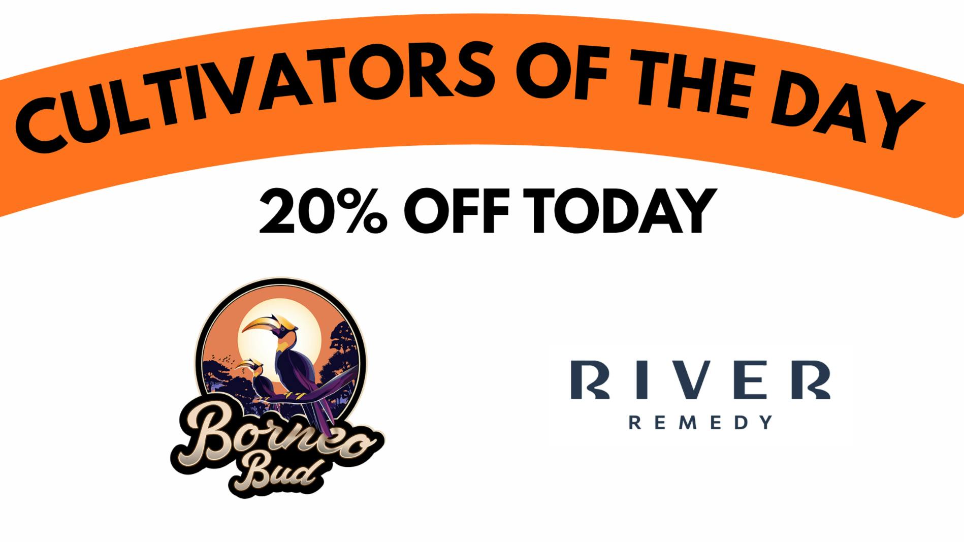 Far & Dotter - Olive Branch MONDAZE: 25% OFF River Remedy & Borneo