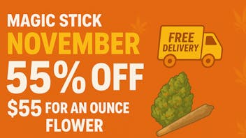 MAGIC STICK 🔥Get 55%OFF🔥 Entire Store🔥 + Free Delivery🏎