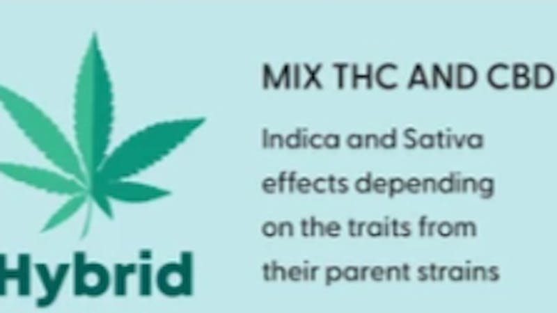 Mindlift Delivery (24 Hours) - Zone 2 Happy Hybrid week 10% OFF