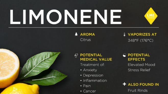Mindlift Delivery (24 Hours) - Zone 3 Terpene Week code name Limonene
