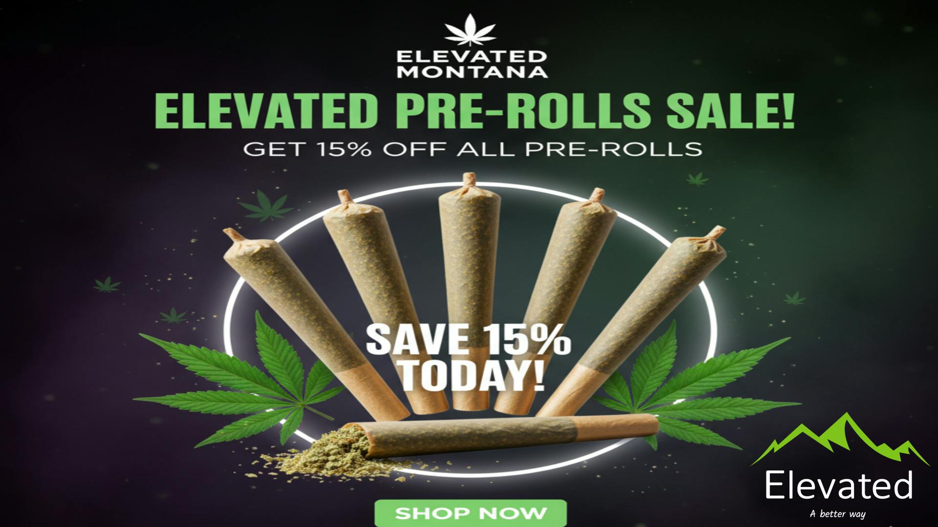 Elevated - Libby Roll with it Sunday!!!