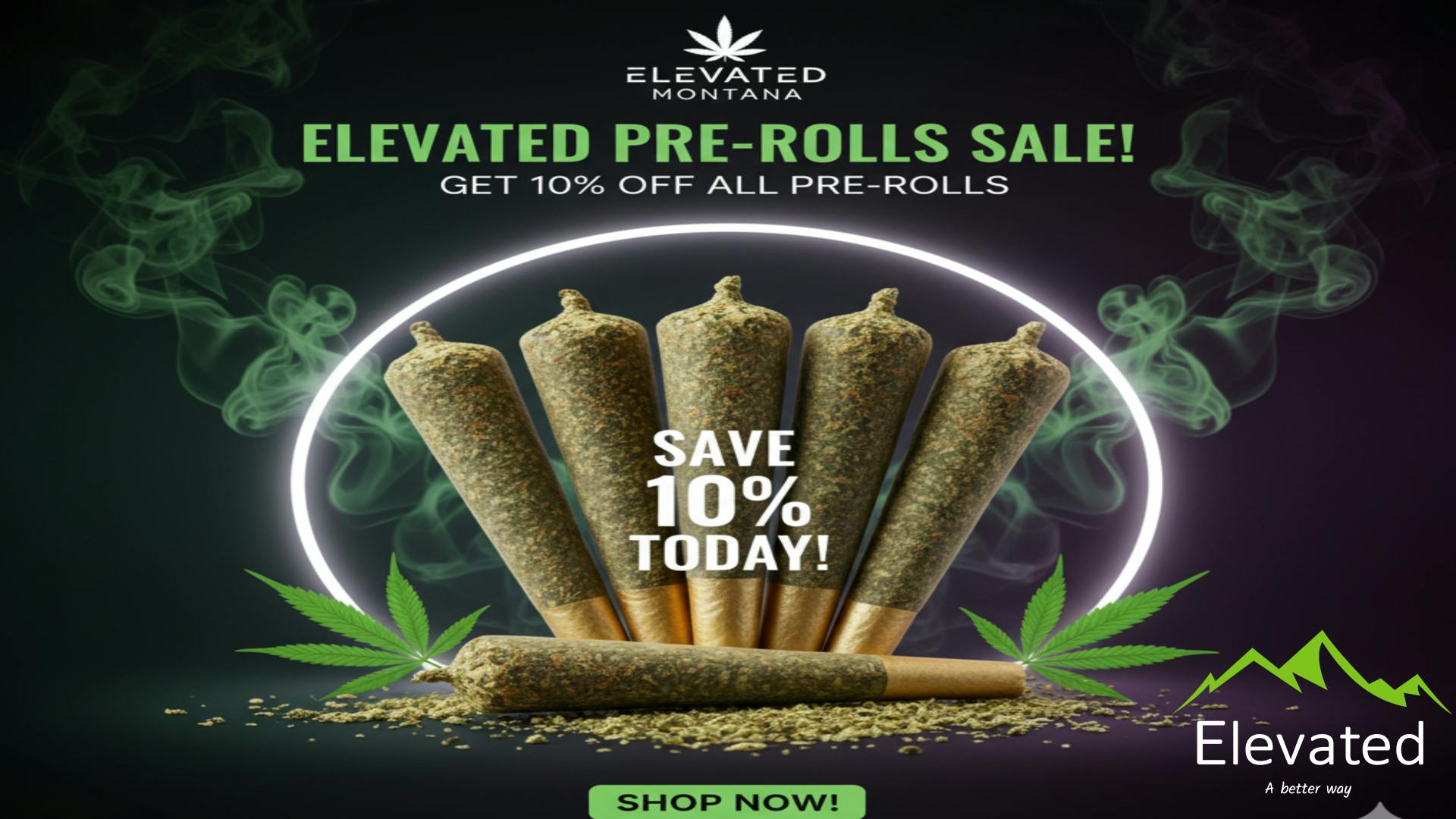 Elevated - Great Falls Roll with it Sunday!