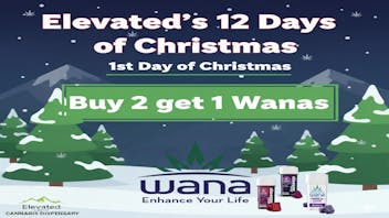 Elevated - Helena 1st Day of Christmas - Wana