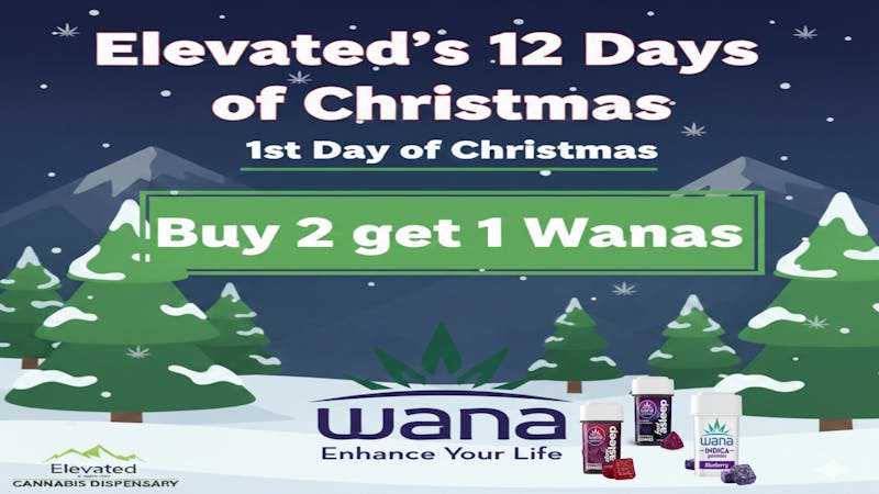 Elevated - Helena 1st Day of Christmas - Wana