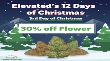 Elevated - Bozeman 3rd Day of Christmas - Flower