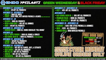 EndoVibe - Ypsi UP TO 50% OFF GREEN WED/BLACK FRI AT ENDO!