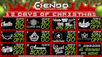 EndoVibe - Ypsi 12 DAYS OF CHRISTMAS AT ENDO!