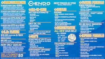 EndoVibe - Ypsi THE BEST PRICES ARE AT ENDO YPSILANTI!