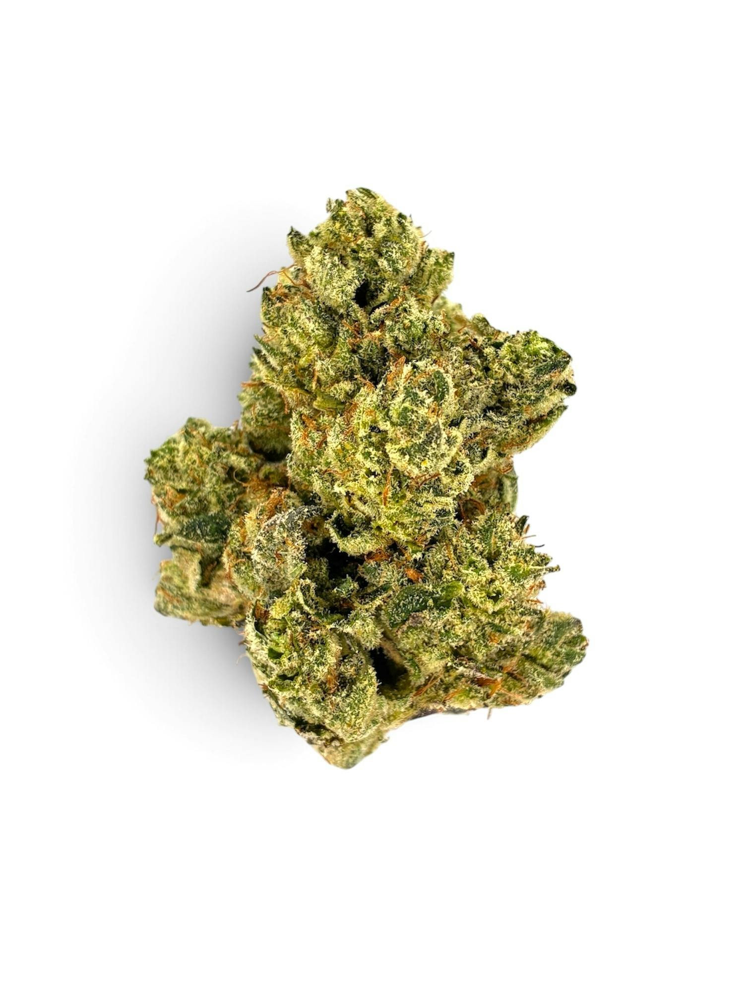 1/2oz GORILLA FROST (TOP SHELF EXOTIC)